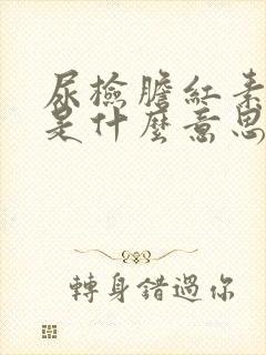 尿检胆红素1十是什么意思