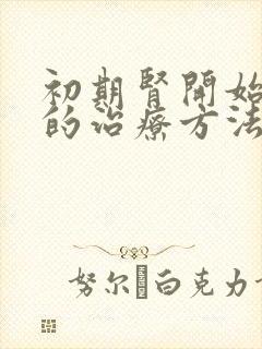 初期肾开始衰竭的治疗方法有哪些