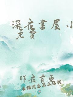 深夜书屋 小说 免费