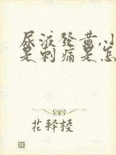 尿液发黄,小便是刺痛是怎么回事?