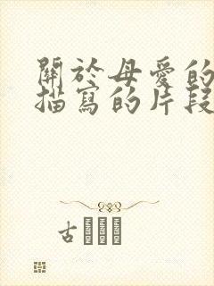 关于母爱的细节描写的片段300字