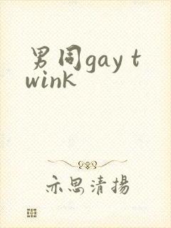 男同gay twink
