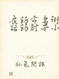 夜的命名术会说话的肘子小说全集免费阅读