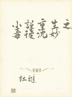 小说重生之将门毒后沈妙