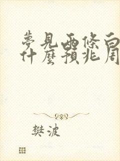 梦见两条白蛇是什么预兆周公解梦