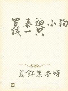 买泰迪小狗多少钱一只