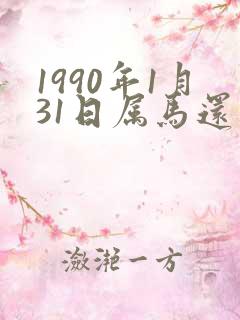 1990年1月31日属马还是属蛇