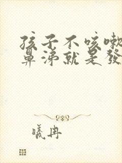 孩子不咳嗽不流鼻涕就是发烧怎么回事