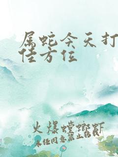 属蛇今天打牌最佳方位