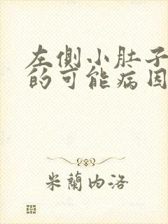 左侧小肚子疼痛的可能病因女性