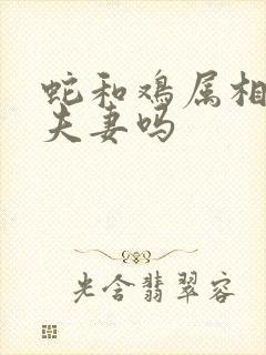 蛇和鸡属相能配夫妻吗