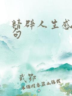 精辟人生感悟短句