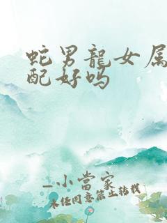 蛇男龙女属相婚配好吗