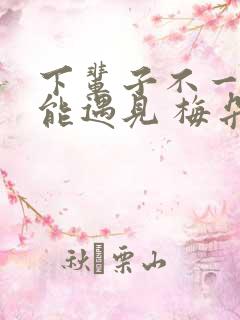 下辈子不一定还能遇见 梅朵