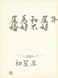 属马和属牛的结婚好不好