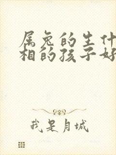 属兔的生什么属相的孩子好