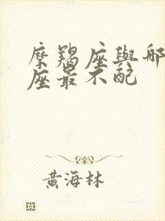 摩羯座与哪个星座最不配