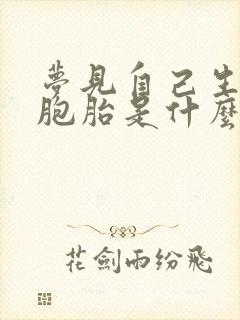 梦见自己生了双胞胎是什么意思