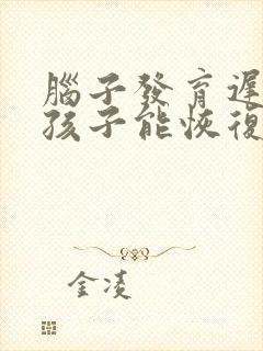 脑子发育迟缓的孩子能恢复正常吗