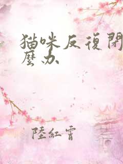 猫咪反复闭尿怎么办