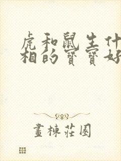 虎和鼠生什么属相的宝宝好