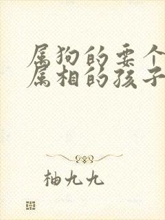 属狗的要个什么属相的孩子最好