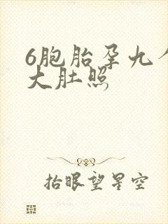 6胞胎孕九个月大肚照