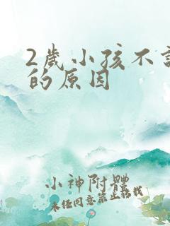 2岁小孩不说话的原因