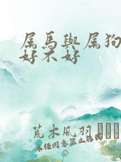 属马与属狗婚配好不好