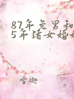 87年兔男和95年猪女婚姻如何