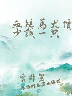 血统马犬价格多少钱一只