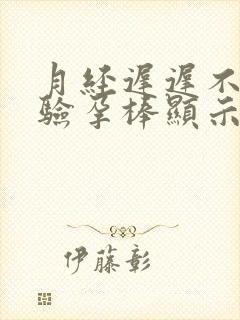 月经迟迟不来,验孕棒显示没有怀孕