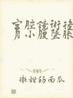 宫腔镜术后一个月小腹坠胀