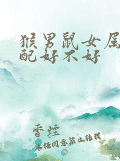 猴男鼠女属相婚配好不好