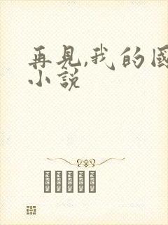 再见,我的国王小说