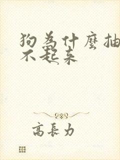 狗为什么抽搐站不起来