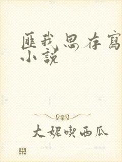 匪我思存写过的小说