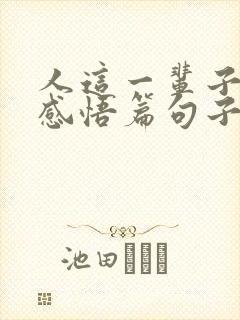 人这一辈子人生感悟篇句子