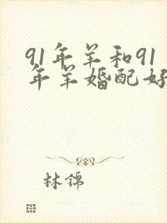 91年羊和91年羊婚配好不好