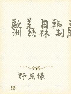 欧美 日韩 亚洲 丝袜 制服