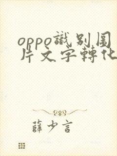 oppo识别图片文字转化为文本