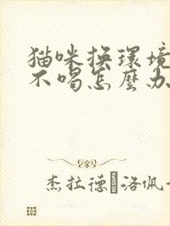 猫咪换环境不吃不喝怎么办