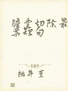 胆囊切除最火文案短句