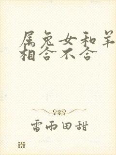 属兔女和羊男属相合不合