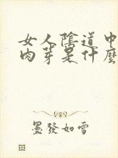 女人阴道中间长肉芽是什么原因