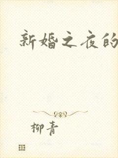 新婚之夜的小说
