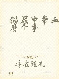 猫尿中带血是怎么个事