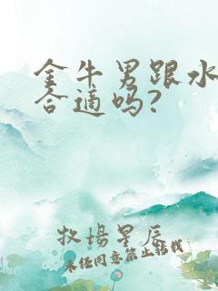 金牛男跟水瓶女合适吗?