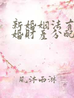 新婚姻法有关再婚财产分配