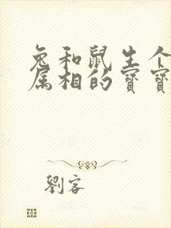 兔和鼠生个什么属相的宝宝